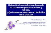 Detección inmunohistoquímica de COX-2 en neoplasias ...traumatologiaveterinaria.com/divulgacion/Cox-2... · La inhibición de la proliferación y la inducción de la apoptosis solo