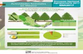 Actividades forestales en México - INEGI€¦ · de hectáreas a la actividad forestal De las unidades de producción con actividades forestales, 5.6% usa energías alternativas