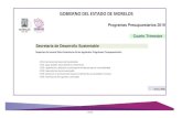 GOBIERNO DEL ESTADO DE MORELOS · 2020-02-20 · Secretaría de Desarrollo Sustentable Unidad (es) responsable (s): Secretaría de Desarrollo Sustentable Ejercicio Fiscal 2019 Reportes