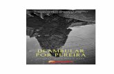 Libro digital-Deambular por Pereira - Edumedia-3 · 2018-04-13 · Una tesis sobre la creación visual y literaria en torno a Pereira. 24 2. A manera de contexto. 27 3. Dos miradas
