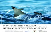 © naturepl.com / Cheryl-Samantha Owen / WWF PLAN DE …...plan de acciÓn nacional para la conservaciÓn y el manejo de tiburones de ecuador (pat-ec) subsecretarÍa de recursos pesqueros