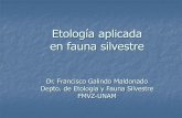 Etología aplicada en fauna silvestre · Etología aplicada en fauna silvestre Dr. Francisco Galindo Maldonado Depto. de Etología y Fauna Silvestre FMVZ-UNAM