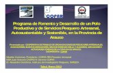 Programa de Fomento y Desarrollo de un Polo …...2012/02/26  · Justificación de COPAR • Comuna de Arauco, 42000 hab. 50% mujeres, 4% pobl. Indígena • Población rural 26%,