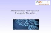 Herramientas y técnicas de Ingeniería Genéticabiotecnologiaindustrial.fcen.uba.ar/wp-content/... · LIGACIÓN DE ADN VECTOR: Moléculas transportadoras que transfieren y replican