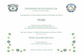 TESIS - titulaciondgraficocui.files.wordpress.com...UNIVERSIDAD DE IXTLAHUACA CUI. Licenciatura en Diseño Gráfico. TESIS. Incorporada a la Universidad Autonoma del Estado de México.