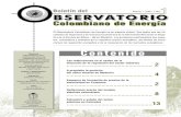 Colombiano de Energía · El Observatorio Colombiano de Energía es un espacio virtual. ... nismos de regulación energØtica y de la modelación de los mercados energØticos. Contenido