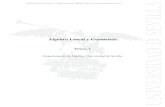 Tema 1 - Universidad de Sevillaeuclides.us.es/da/apuntes/fisica/tema1.pdf · Tema 1: Estructuras basicas´ 1.1. Conjuntos: Deﬁniciones y notaciones. Operaciones. Deﬁnici on.–´