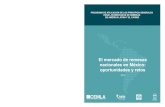 El mercado de remesas nacionales en México: oportunidades y … · 2018-09-04 · l trabajo representa un esfuerzo por dimensionar el mercado de remesas nacio - nales en méxico