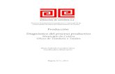 Producción Diagnóstico del proceso productivo - Artesanías de … · 2020-01-03 · Esquema del Proceso Productivo: Extracción y Preparación de la Materia Prima: Las fibras de