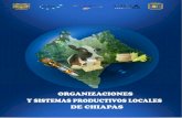 Organizaciones y Sistemas Productivos Locales de Chiapasecacampusix.unach.mx/images/publicaciones/Organizaciones.pdf · procesos de reestructuración productiva en Chiapas, cadenas