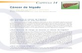 Cáncer de hígadosfb55068d25a70fdb.jimcontent.com/download/version/1280409972/… · Cáncer de hígado 1 la invasión tumoral. Finalmente, las células tumorales pueden diseminar