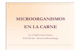 MICROORGANISMOS EN LA CARNE - uca.mef.gub.uyuca.mef.gub.uy/innovaportal/file/7909/1/presentacion_tania_tassano.… · MICROORGANISMOS EN LA CARNE Tte. 2º (Q/F) Tania Tte. 2º (Q/F)