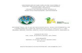 UNIVERSIDAD DE SAN CARLOS DE GUATEMALA CENTRO … FINAL DE... · 2019. 1. 23. · universidad de san carlos de guatemala centro universitario del sur occidente agronomÍa tropical