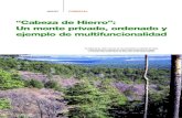“Cabeza de Hierro”: Un monte privado, ordenado y ejemplo ...oa.upm.es/12263/1/INVE_MEM_2011_103902.pdf · becera alta del valle del Lozoya, en la vertiente sur del sistema Central,