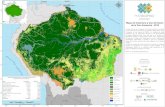 S C h i l e 0 3 c Mapa de Cobertura y Uso del Suelo o de ......Uruguay Panamá Nicaragua Guayana Francesa ... y uso del suelo de la Pan-Amazonía, que abarca el periodo 1985 – 2018.