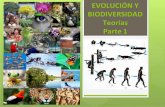 EVOLUCIÓN Y BIODIVERSIDAD Teorías Parte 1 · de las especies. contastación de evidencias Se basa en el examen y en la y propone que las especies cambian a lo largo del tiempo,