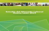 Estudio del Mercado LaboralEl análisis del mercado laboral se lleva a cabo bajo dos enfoques, cualitativo y cuantitativo. El análisis cualitativo comprende un diagnóstico de la