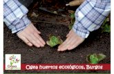 Ogea huertos ecológicos, Burgos€¦ · licenciados en Ciencias Ambientales e ingenieros técnicos agrícolas. Hasta el momento, la Asociación ha llevado a cabo diferentes programas