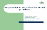 Proyecto e-CA: Organización Virtual y Testbed - amiga.iaa.esamiga.iaa.es/FCKeditor/UserFiles/File/Susanae-CA2.pdf · •Centro de recursos e-ca-iaa: •Proporciona los servicios