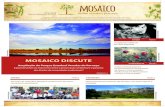 MOSAICO DISCUTE · unidades de conservação do Mosaico SVP e uma viagem de intercâmbio. Até o fim de setembro, serão formados 30 condutores, dos três núcleos do Mosaico. 3 Foto: