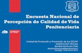 PPT Tercer Consejo de DD · 2014. 2. 4. · Unidad de Protección y Promoción de los DD.HH Subdirección Técnica ... Gendarmería de Chile 4 19 Propósito del Estudio y motivación