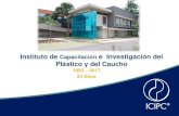 Instituto de Capacitación e Investigación del Plástico y ... · Instituto de Capacitación e Investigación del Plástico y del Caucho 1993 –2017 24 Años
