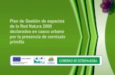 Plan de Gestión de espacios de la Red Natura 2000 declarados en …extremambiente.juntaex.es/files/anexo5_doe/28_PG_Zepa... · 2015. 6. 17. · Plan de Gestión de espacios de la