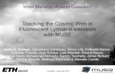 Stacking the Cosmic Web in Fluorescent Lyman-α emission ...Stacking the Cosmic Web in Fluorescent Lyman-α emission with MUSE Sofia G. Gallego, Sebastiano Cantalupo, Simon Lilly,