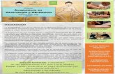 Presentación de PowerPoint · Programa del curso • Introducción a la Medicina Tradicional China y Acupuntura • Teoría de Yin-Yang y los Cinco Elementos: correspondencia en