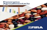 Contenido - Info Rural€¦ · 4 Rendimientos de frijol, principales países productores, 2007-2017 (Toneladas por hectárea) Fuente: FAO. 2.2 Consumo mundial Al igual que la producción,