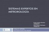 Sistemas expertos en meteorología · SISTEMAS EXPERTOS EN METEOROLOGÍA Inteligencia de Redes Universidad Carlos III de Madrid Carlos Lentisco Sánchez 100060695 Tania Romero Rodríguez