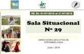 Sala Situacional Nº 29 · Nº 29 Julio - 2018 SE 29: 01/07/2018 al 21/07/2018 DIRECCIÓN EJECUTIVA DE EPIDEMIOLOGIA . ... Proporción de Desnutrición Crónica en niños menores