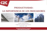 PRODUCTIVIDAD: LA IMPORTANCIA DE LOS INDICADORES · INDICADORES CDT PRODUCTIVIDAD 16 •2003 al 2014. Período de medición •355 proyectos •76 empresa •Casi 1 millón de HH