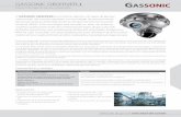 GASSONIC OBSERVER-minetech.com.ar/wp-content/uploads/GASSONIC.pdf · (disponible adaptador 3/4” NPT adicional) Orificios de montaje 2 tornillos de montaje – M8 x 19 máx. Clase