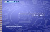 Caracterización departamental Petén 2013 · 2016. 3. 16. · Caracterización de Petén 6 Presentación Dentro de las funciones del Instituto Nacional de Estadística (INE), establecidas