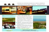 CENTRO DE INTERPRETACIÓN DEL ARROZ CAMARLES …nomadaviatges.com/wp-content/uploads/2016/10/E... · La visión más completa del mundo del arroz del Delta : ocho proyec - ciones