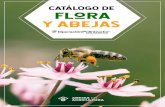 CATÁLOGO DE flora - Abejas en la agricultura · 2020. 3. 10. · Flor del café Canutillo, cadillo, cojitre Ipomoea trífida Aguinaldo marrullero, batatilla, campanilla. · Son abejas