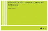 Septiembre 2010 · 2011. 12. 6. · 31 La Mineralización como una solución ambiental. 8. Conclusiones Reducción en emisión de gases: 62,4% en SO 2 y 32,4% en NO x. Reducción