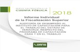 Informe Individual de la Fiscalización Superior · 2020. 1. 29. · Este Informe Individual, se presenta de acuerdo con lo establecido por el H. Congreso del Estado de Veracruz de