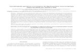 Variabilidade genética e ecológica de Stylosanthes macrocephala … · 2005. 11. 16. · Pesq. agropec. bras., Brasília, v.40, n.9, p.899-909, set. 2005 Variabilidade genética