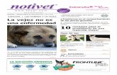 NOTIVET | Boletín digital de ESPECIAL | LOS ... · de los perros viejos presentan trastornos de comporta-miento. consejos para el propietario de una mascota mayor • Imprima este