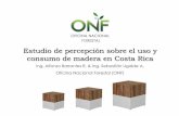 Presentación de PowerPoint · P.2 ¿Cuáles son las razones por las que usted no utiliza productos de madera? Fuente: ONF, 2018 1,6% 3,3% 3,3% 5,4% 6,0% 6,5% 7,1% 8,7% 10,9% 11,4%