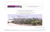 Playa Maroma Inmuebles S. A. de C. V. - SINATsinat.semarnat.gob.mx/dgiraDocs/documentos/qroo/e... · Manifestación de Impacto Ambiental Modalidad Particular del Proyecto “Acondicionamiento