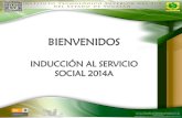 Presentación de PowerPointitsyucatan.edu.mx/wp-content/uploads/2012/10/Inducción-2014A.pdf · Reporte Bimestral de Actividades del Servicio Social (se adiciona control de horario).