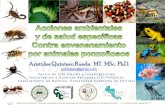 Aristides Quintero Rueda MT. MSc. PhD.€¦ · Animales Venenosos y Veneno. Animales venenosos CEIITOXQUIA Pitohui dichrous. Acciones antropogénicas ambientales que inciden en los