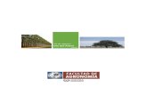 Ceiba speciosa (Palo borracho) 5a del Árbol - Parte 1.pdf · Prosopis caldenia (Caldén) El Caldén o “Huitrú” (fonética en lengua mapuche) pertenece a la Familia Leguminosas,