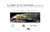 EL ABRIC DE LA FALGUERA (Alcoi, Alacant). 8.000 años de ... · que tutela su Museo Arqueológico Provincial, en la coedi-ción del libro “El Abric de la Falguera (Alcoi, Alacant),