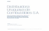Distribuidora Uruguaya de Combustibles S.A.Distribuidora Uruguaya de Combustibles S.A. Informe dirigido al Directorio referente a la Revisión de los Estados Financieros Intermedios