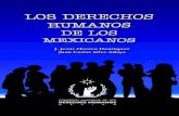 DERECHOS DE LOS MEXICANOS - WordPress.com€¦ · los derechos humanos de los mexicanos comisiÓn nacional de los derechos humanos mØxico, 2002 j. jesÚs orozco henr˝quez / juan