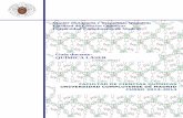Guía docente: QUÍMICA LÁSERwebs.ucm.es/centros/cont/descargas/documento20739.pdf · láser. Estereodinámica de la reacción química. Medida de secciones eficaces reactivas estado